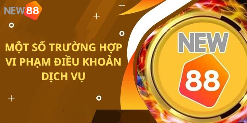 Điều Khoản Điều kiện Một số trường hợp vi phạm tại hệ thống New88