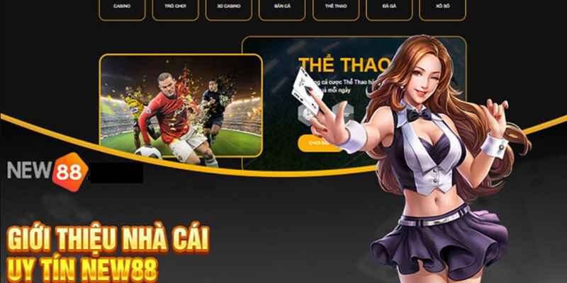 Thể Thao New88 - Thiên Đường Cá Cược Đổi Thưởng Của Bet Thủ Cá cược thể thao đảm bảo uy tín và độ an toàn thông tin